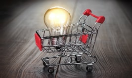Consumer intelligence: Understanding the impact of price change on product sales