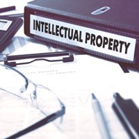 netscribes intellectual property protection