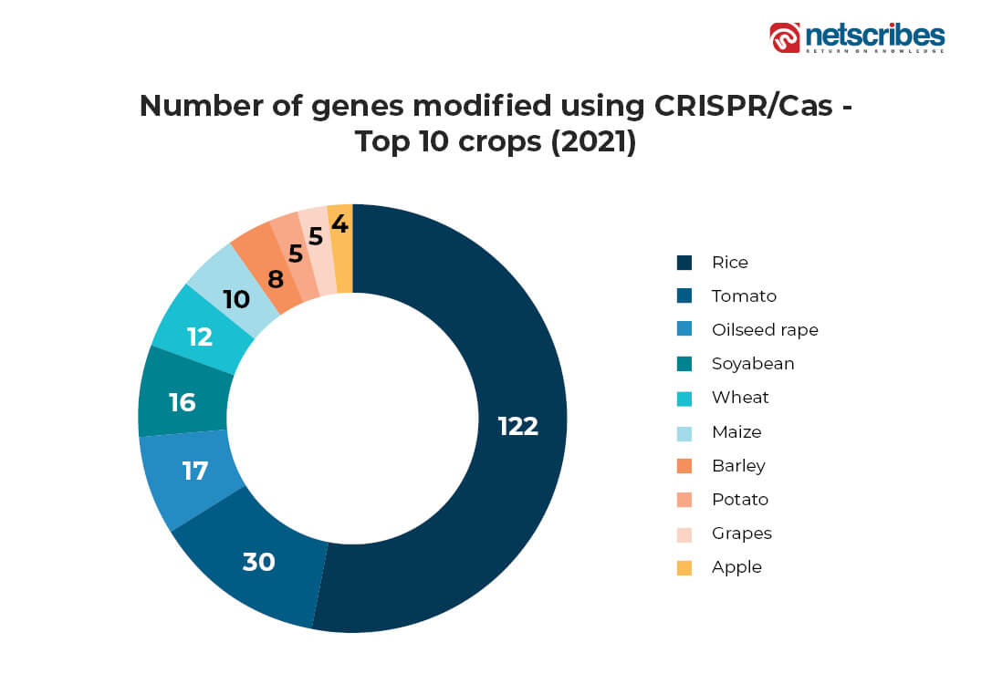 Gene-modified-crispr-crops