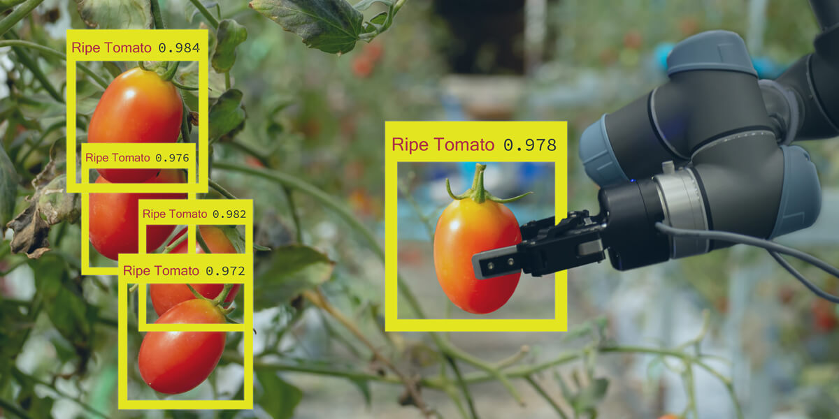 Agriculture-computer-vision-annotation